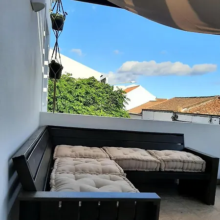 Nikau - Garden By The Sea * 라고아