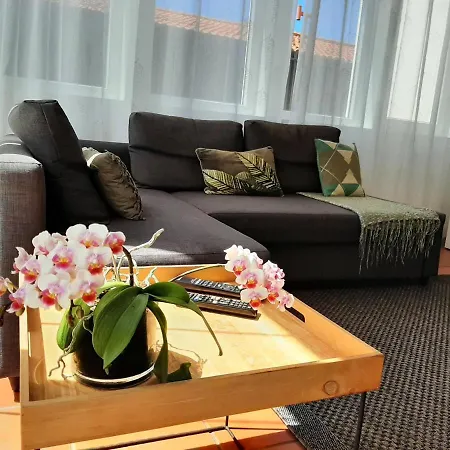 Nikau - Garden By The Sea