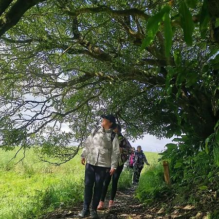 Casa de Férias Nikau - Garden By The Sea Lagoa (Azores)