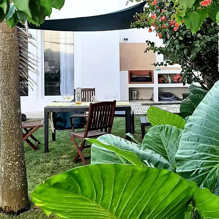 Nikau - Garden By The Sea *