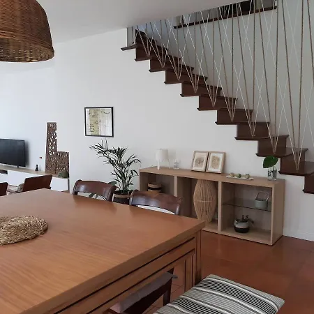 Nikau - Garden By The Sea