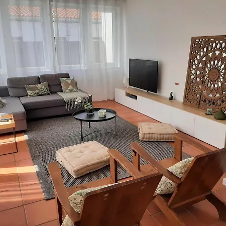 Nikau - Garden By The Sea