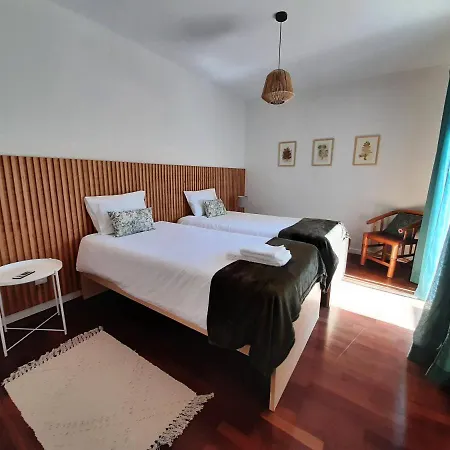 Nikau - Garden By The Sea