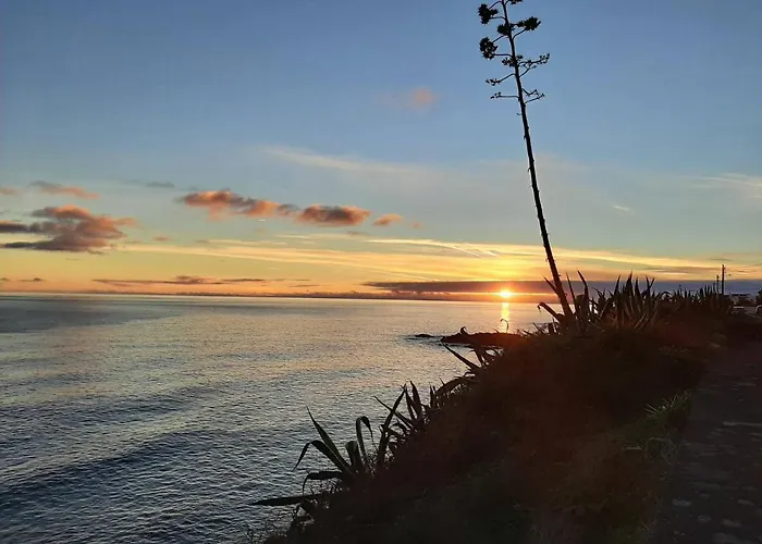 Dom wakacyjny Nikau - Garden By The Sea *