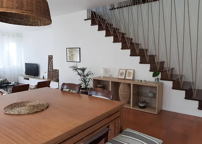 Nikau - Garden By The Sea