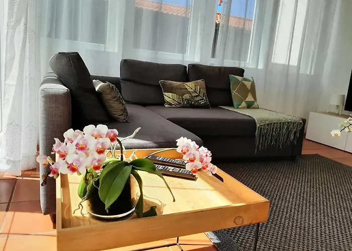 Nikau - Garden By The Sea