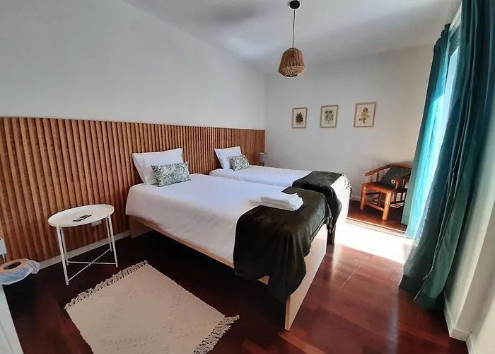 Nikau - Garden By The Sea